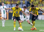 开云体育娱乐-霍芬海姆取得胜利再起，迈入新的发展阶段的简单介绍