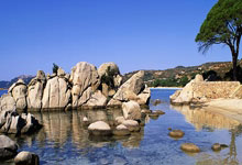 开云体育视频-卢森堡篮球协会公布新赛季赛程