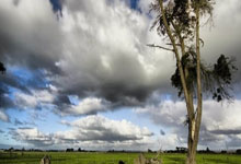 开云体育投注-谢菲联奋勇突围！成功抢分，迈出保级关键一步