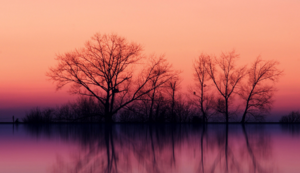 切尔顿主场失分，保级形势严峻