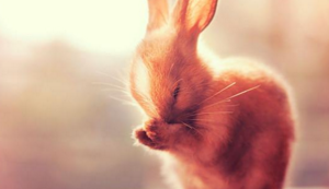 切尔顿主场失分，保级形势严峻