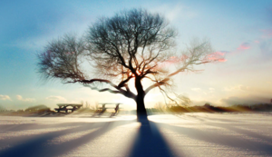 意甲比赛掀起热烈讨论，球迷热情高涨