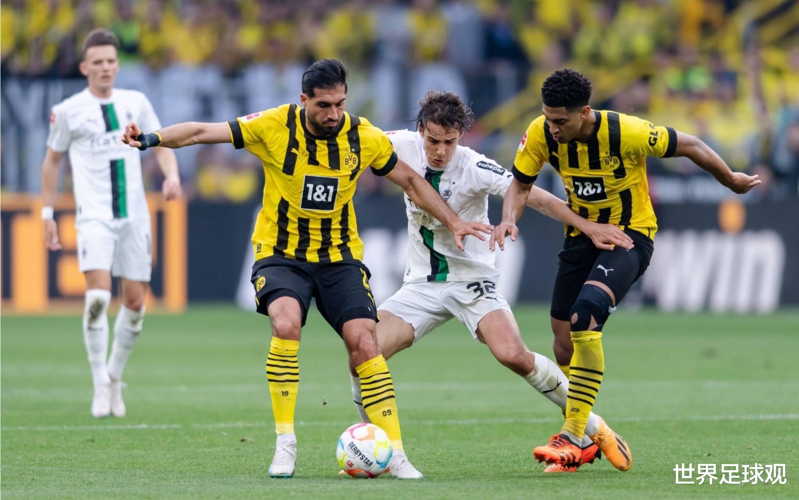 霍芬海姆取得胜利再起，迈入新的发展阶段的简单介绍