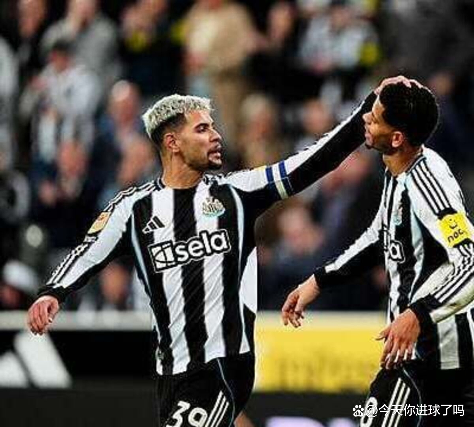 纽卡斯尔客场轻取三分，球队状态回暖